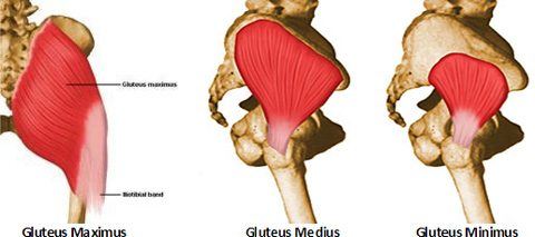 should we stop blaming the glutes
