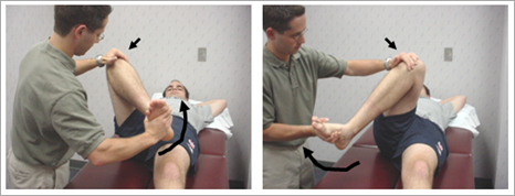 Clinical Examination for Meniscus - Mike Reinold