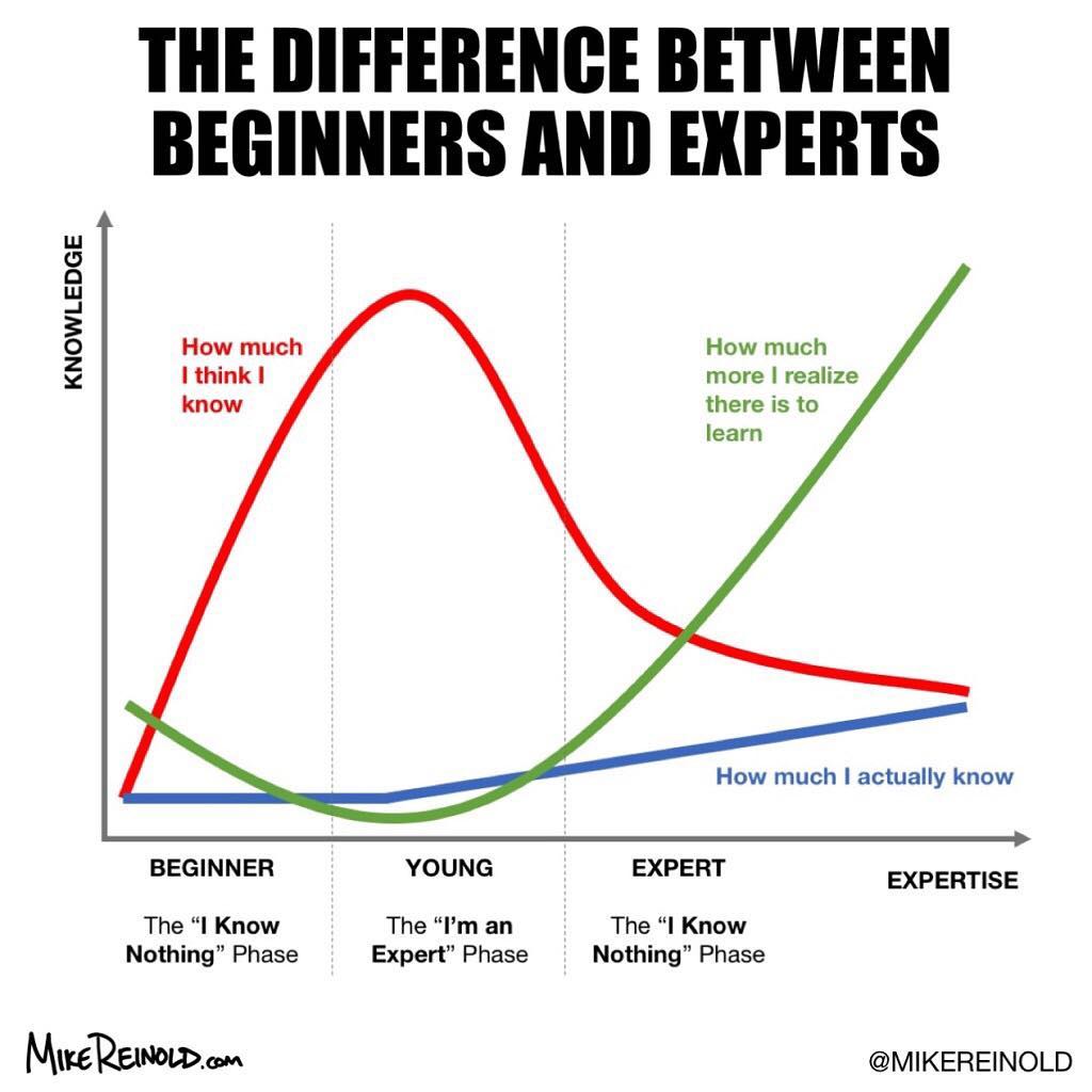 the difference between an expert and beginners