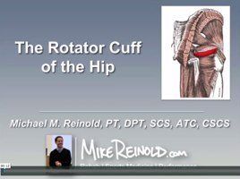 Hip Rotator Cuff