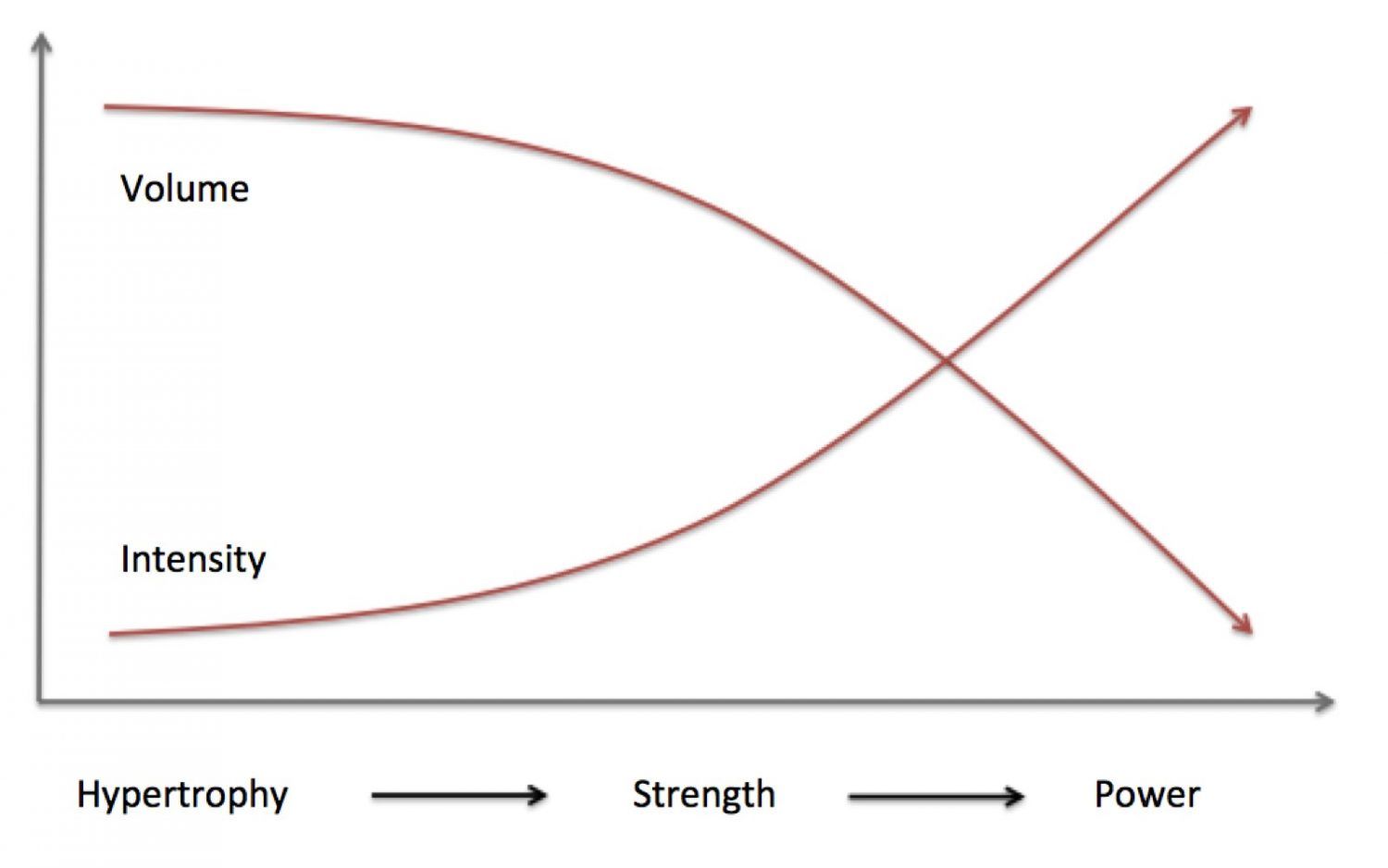Does Periodization of a Program Help Improve Strength?