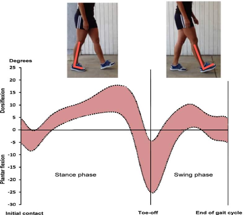 Ankle Mobility to Improve