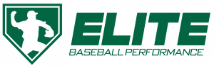 Green transparent horizontal logo