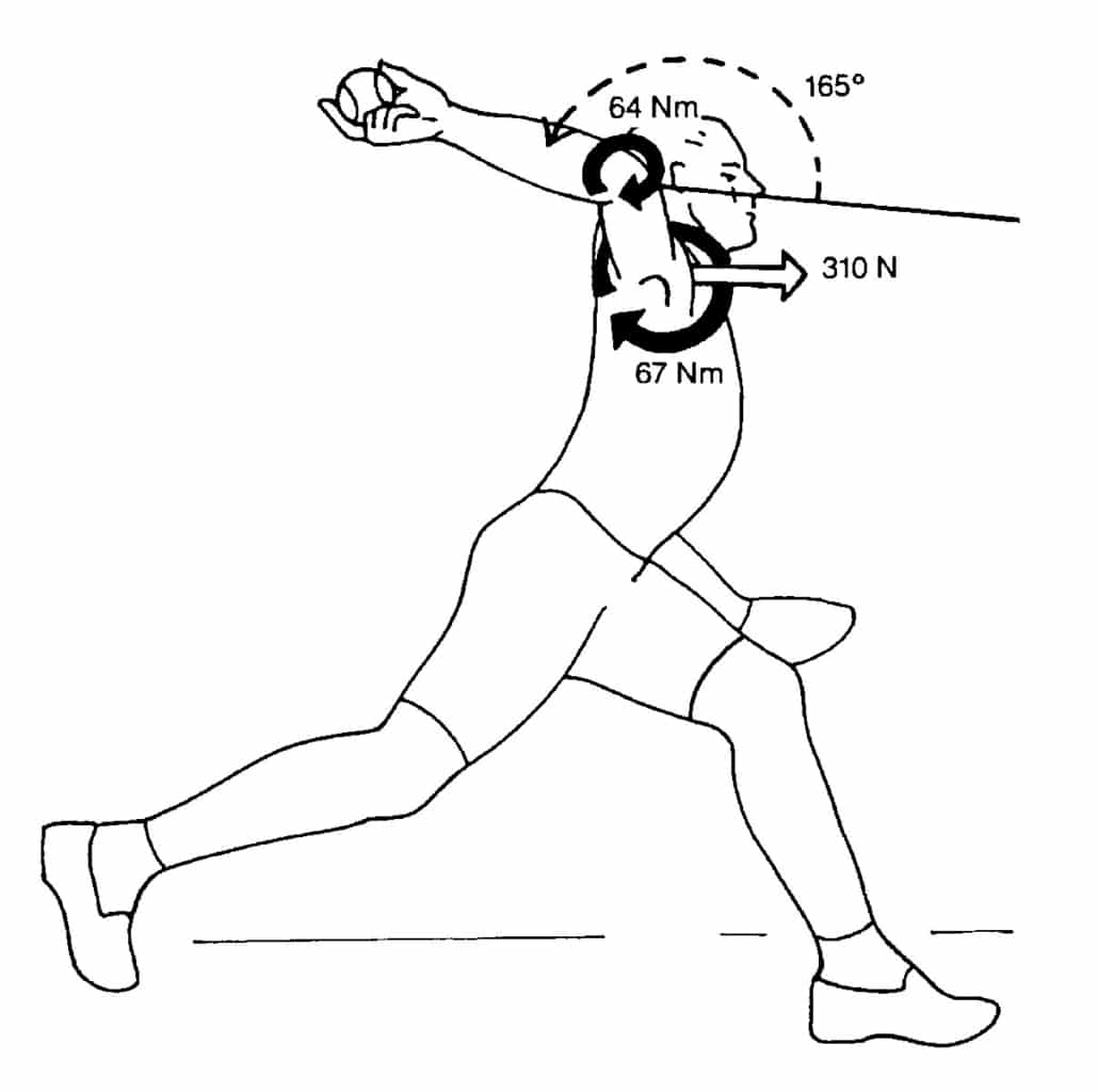baseball pitching biomechanics - max external rotation layback